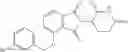 Fig. 25 - 4′-O-substituted isoindoline derivatives and compositions comprising and methods of using the same