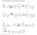 Fig. 07 - Methods for the preparation of charged crosslinkers