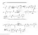 Fig. 09 - Methods for the preparation of charged crosslinkers