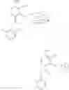 Fig. 19 - Substituted acetophenones useful as PDE4 inhibitors