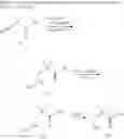 Fig. 05 - METHOD FOR THE PREPARATION OF W-AMINO- ALKANEAMIDES AND W-AMINO-ALKANETHIOAMIDES AS WELL AS INTERMEDIATES OF THIS METHOD