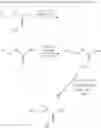 Fig. 07 - METHOD FOR THE PREPARATION OF W-AMINO- ALKANEAMIDES AND W-AMINO-ALKANETHIOAMIDES AS WELL AS INTERMEDIATES OF THIS METHOD