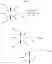 Fig. 05 - Process for the asymmetric hydrogenation of imides