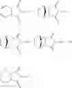 Fig. 12 - Process for the asymmetric hydrogenation of imides