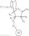 Fig. 05 - Supports for oligomer synthesis
