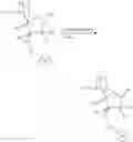 Fig. 06 - Supports for oligomer synthesis