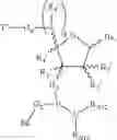 Fig. 08 - Supports for oligomer synthesis