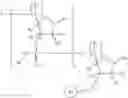 Fig. 10 - Supports for oligomer synthesis