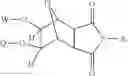 Fig. 14 - Supports for oligomer synthesis