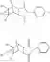 Fig. 15 - Supports for oligomer synthesis