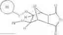 Fig. 160 - Supports for oligomer synthesis