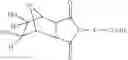 Fig. 169 - Supports for oligomer synthesis