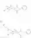 Fig. 17 - Supports for oligomer synthesis