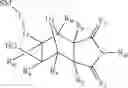 Fig. 177 - Supports for oligomer synthesis
