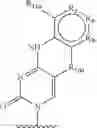 Fig. 189 - Supports for oligomer synthesis