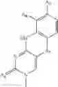 Fig. 194 - Supports for oligomer synthesis