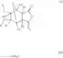 Fig. 29 - Supports for oligomer synthesis