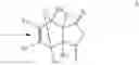 Fig. 31 - Supports for oligomer synthesis