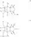 Fig. 47 - Supports for oligomer synthesis