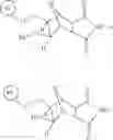 Fig. 52 - Supports for oligomer synthesis