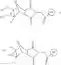 Fig. 53 - Supports for oligomer synthesis