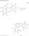 Fig. 31 - Organoboron compound and method for manufacturing the same