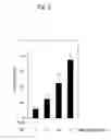 Fig. 03 - IMMUNOSTIMULANT