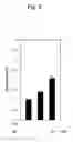 Fig. 06 - IMMUNOSTIMULANT