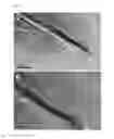 Fig. 08 - REGULARLY STACKED MULTILAMELLAR AND RANDOMLY ALIGNED UNILAMELLAR ZEOLITE NANOSHEETS, AND THEIR ANALOGUE MATERIALS WHOSE FRAMEWORK THICKNESS WERE CORRESPONDING TO ONE UNIT CELL SIZE OR LESS THAN 10 UNIT CELL SIZE