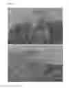 Fig. 11 - REGULARLY STACKED MULTILAMELLAR AND RANDOMLY ALIGNED UNILAMELLAR ZEOLITE NANOSHEETS, AND THEIR ANALOGUE MATERIALS WHOSE FRAMEWORK THICKNESS WERE CORRESPONDING TO ONE UNIT CELL SIZE OR LESS THAN 10 UNIT CELL SIZE