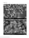 Fig. 16 - REGULARLY STACKED MULTILAMELLAR AND RANDOMLY ALIGNED UNILAMELLAR ZEOLITE NANOSHEETS, AND THEIR ANALOGUE MATERIALS WHOSE FRAMEWORK THICKNESS WERE CORRESPONDING TO ONE UNIT CELL SIZE OR LESS THAN 10 UNIT CELL SIZE