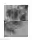 Fig. 17 - REGULARLY STACKED MULTILAMELLAR AND RANDOMLY ALIGNED UNILAMELLAR ZEOLITE NANOSHEETS, AND THEIR ANALOGUE MATERIALS WHOSE FRAMEWORK THICKNESS WERE CORRESPONDING TO ONE UNIT CELL SIZE OR LESS THAN 10 UNIT CELL SIZE
