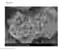 Fig. 19 - REGULARLY STACKED MULTILAMELLAR AND RANDOMLY ALIGNED UNILAMELLAR ZEOLITE NANOSHEETS, AND THEIR ANALOGUE MATERIALS WHOSE FRAMEWORK THICKNESS WERE CORRESPONDING TO ONE UNIT CELL SIZE OR LESS THAN 10 UNIT CELL SIZE