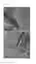 Fig. 20 - REGULARLY STACKED MULTILAMELLAR AND RANDOMLY ALIGNED UNILAMELLAR ZEOLITE NANOSHEETS, AND THEIR ANALOGUE MATERIALS WHOSE FRAMEWORK THICKNESS WERE CORRESPONDING TO ONE UNIT CELL SIZE OR LESS THAN 10 UNIT CELL SIZE