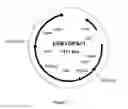 Fig. 06 - SUCCINIC ACID PRODUCTION IN A EUKARYOTIC CELL