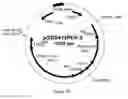 Fig. 14 - SUCCINIC ACID PRODUCTION IN A EUKARYOTIC CELL