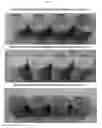 Fig. 06 - Solidification method of radioactive waste accompanying chloride recycling or radioactive iodide removing and the device thereof
