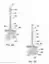 Fig. 13 - Tamponade trocar device and method