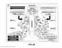 Fig. 16 - Systems and Methods for Improved In Vivo Analyte Sensor Function