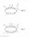 Fig. 07 - Apparatus and method for measuring the internal pressure of an examination object