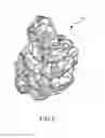 Fig. 08 - Refinement of an anatomical model using ultrasound