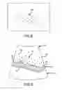Fig. 09 - Refinement of an anatomical model using ultrasound