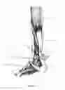 Fig. 15 - Systems and methods for treating acute and/or chronic injuries in soft tissue