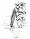 Fig. 22 - Systems and methods for treating acute and/or chronic injuries in soft tissue