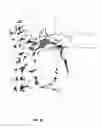 Fig. 27 - Systems and methods for treating acute and/or chronic injuries in soft tissue