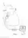 Fig. 02 - IDENTIFICATION OF OBJECTS IN ULTRASOUND