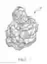 Fig. 08 - Refinement of an anatomical model using ultrasound