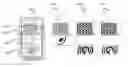 Fig. 01 - PLASMAPHERESIS DONOR DISPLAY AND METHOD OF USE