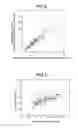Fig. 06 - Blood vessel function inspecting apparatus