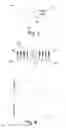Fig. 04 - Detection of respiratory system lesions